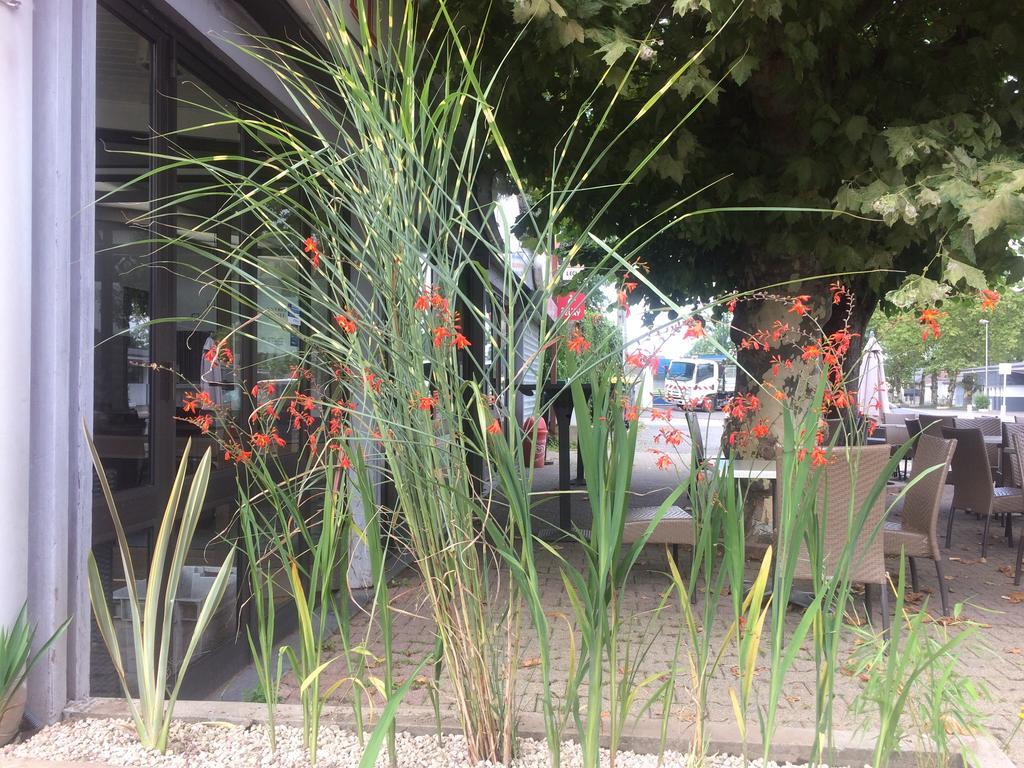 فندق La Hourquie Cafe Morlaas المظهر الخارجي الصورة